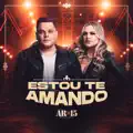 Estou Te Amando
