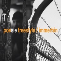 poesie freestyle / immerhin - Single - Alekzthekid