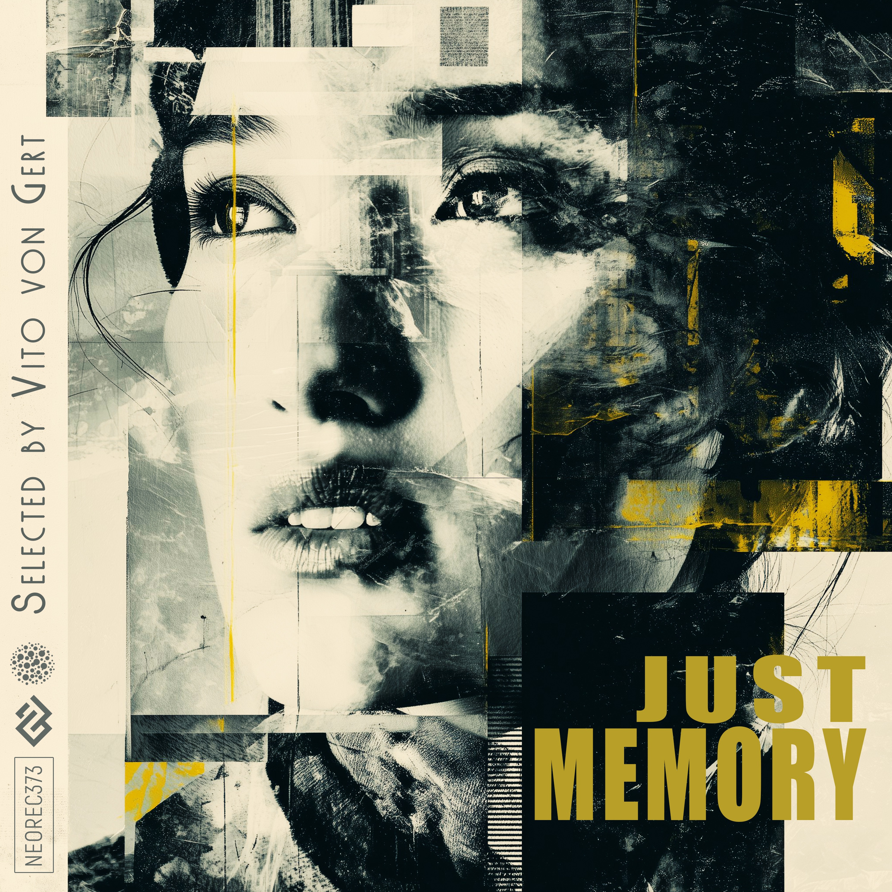 Just Memory (Selected by Vito von Gert)