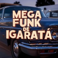 Mega Funk de Igaratá - Single - DJ Garcia