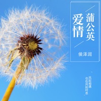 爱情蒲公英 (DJ范小松版) - Single - Zerun Hou