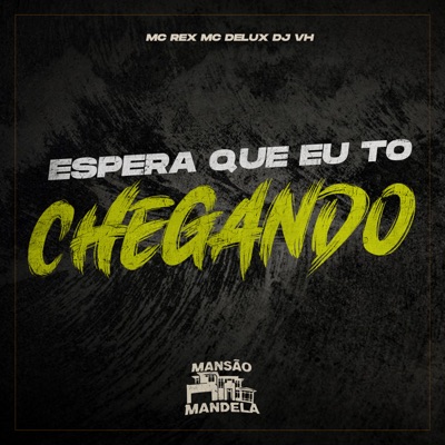Espera Que Eu To Chegando - Single