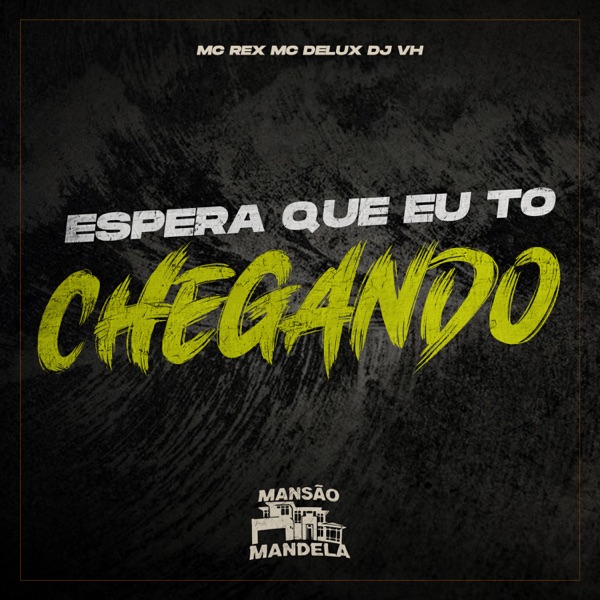 Espera Que Eu To Chegando