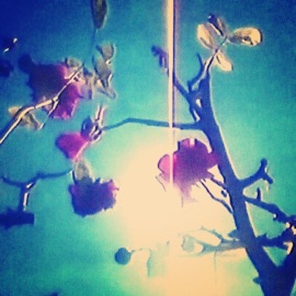 DEJA VU (feat. ÆV) OTECH9