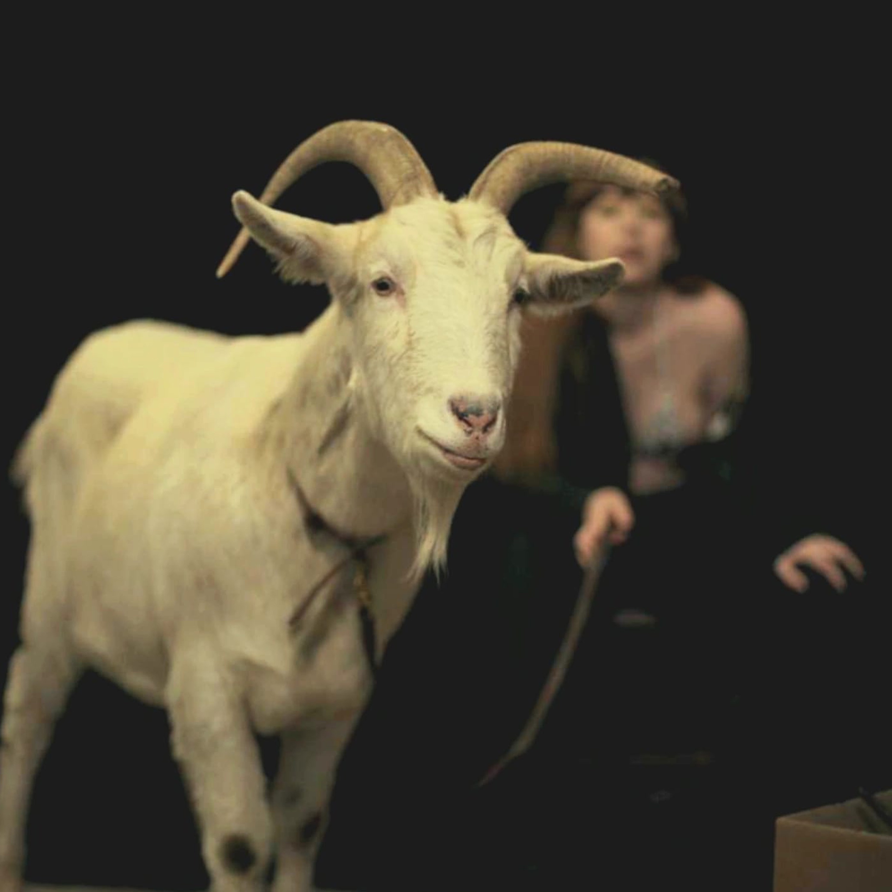 It's a Hit... - Single