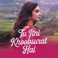 Tu Itni Khoobsurat Hai - Single - Mursalin Amjad & Shamur