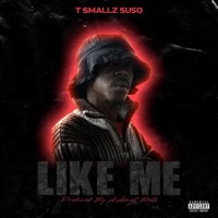Like Me - Single - T Smallz Suso