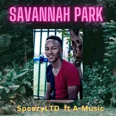 Savannah Park (feat. A-Music) - Single
