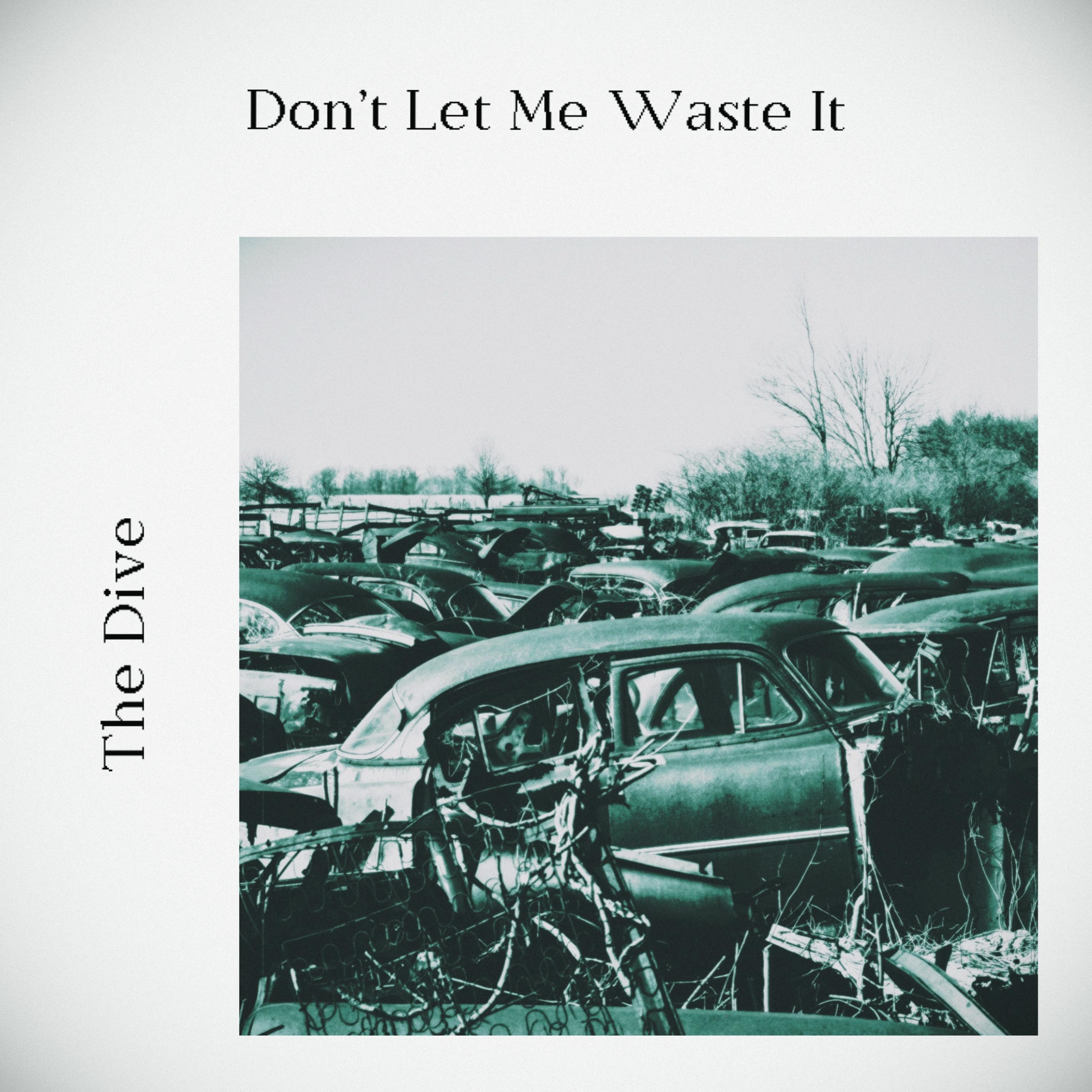 Don't Let Me Waste It - Single