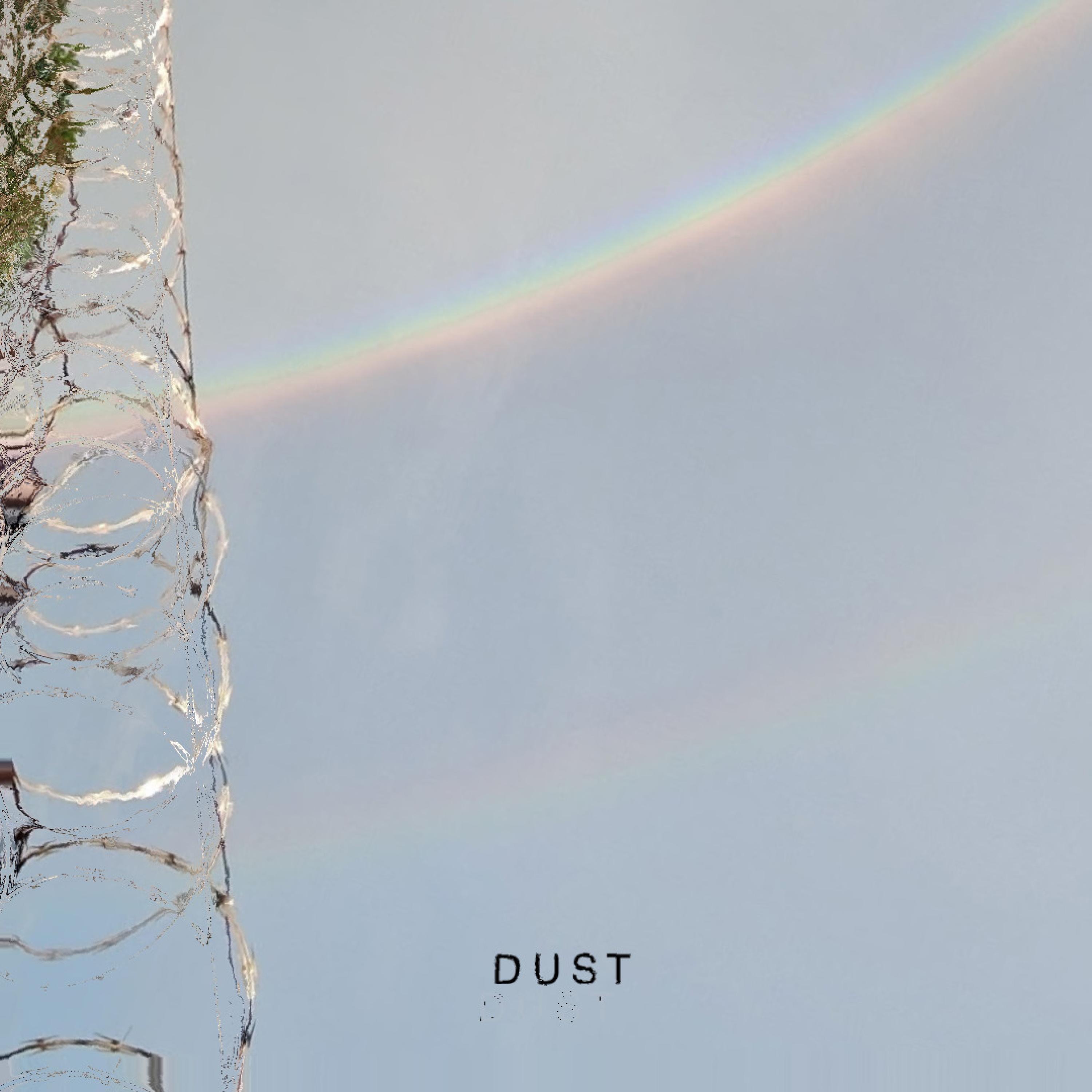 D U S T - Single