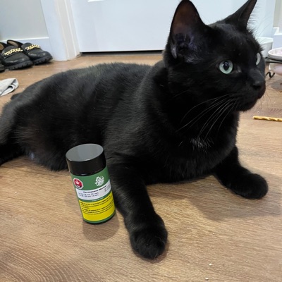 Value Village - Single