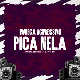 Mega Agressivo Pica Nela DJ TH ZS & Mc Magrinho
