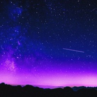 Dreamin - Single - MYSTXRIVL