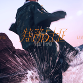 特務占士匡 Mad World