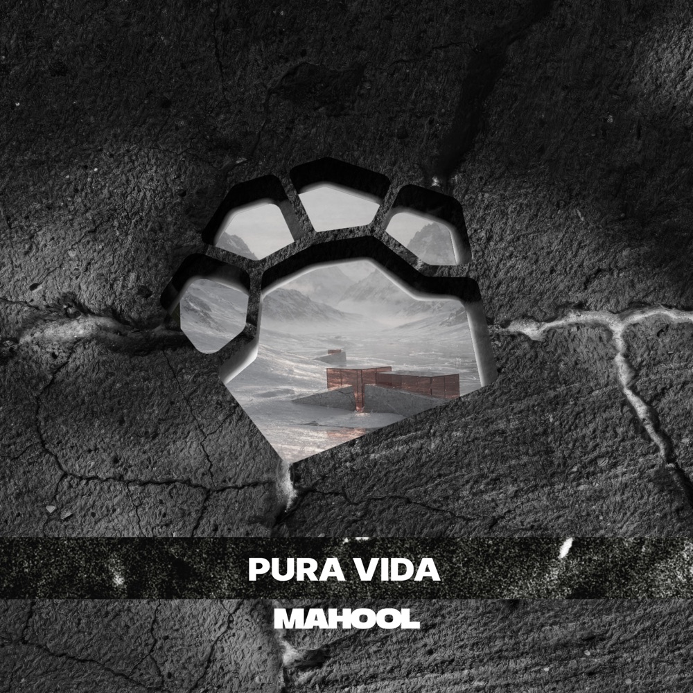 Обложка альбома «Pura Vida - Single» — Bigfett