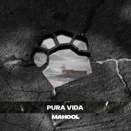 Pura Vida - Single