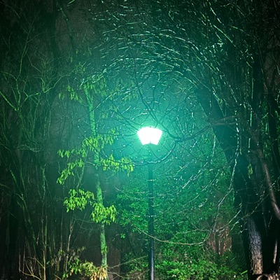 Loud (feat. RainingLol) - Single