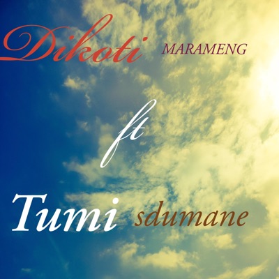 Dikoti marameng (feat. Tumi sdumane) - Single