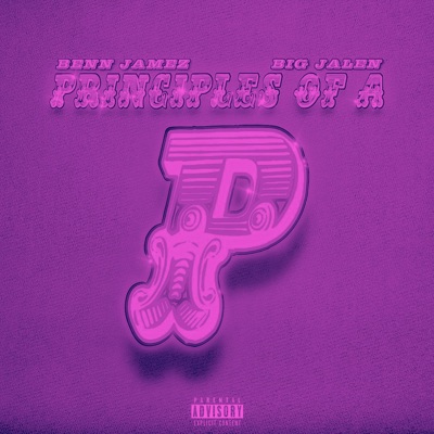 Principles of a P (SLOWED)