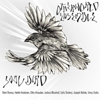 Soul Bird - Otherworld Ensemble