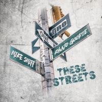These Streets (feat. Mike Smiff & Khujo Goodie) [Radio Edit] - Single - DJ RO