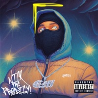 Deltona Freestyle II - Single - Nick The Prodigy & Jay Changer