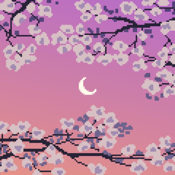 blossom night