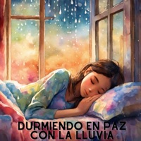 Durmiendo En Paz Con La Lluvia - Single - Rain King, Sonital & Nature Sounds King