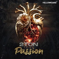 Album cover for AVENTURA by 2Ton & Majk