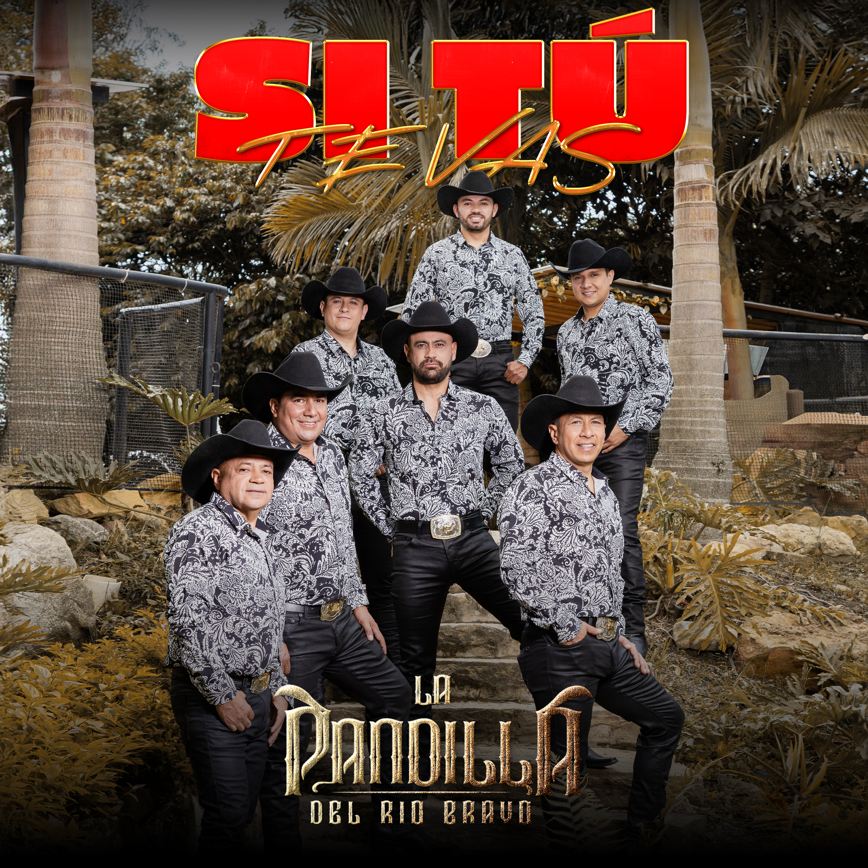 Si Tú Te Vas - Single