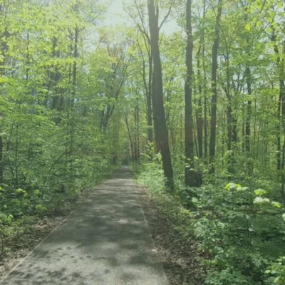 تسجيلات منوعة - ٱلۡحَآقَّةُ