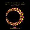 Aaron Lindt - Fake Love (feat. Marie & Amory Reel) [Extended Mix]