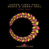 Fake Love (feat. Marie & Amory Reel) - Single - Aaron Lindt