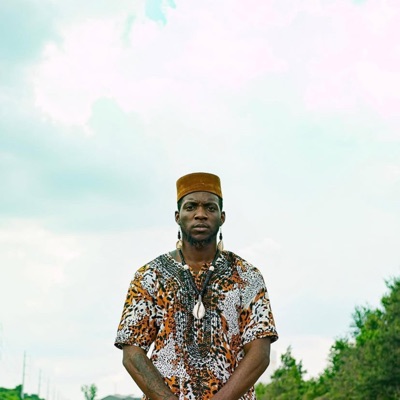 T.Flu's Greatest Hits 2