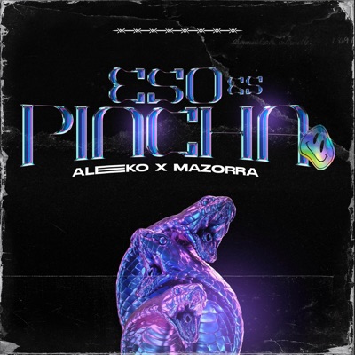 ESO ES PINCHA (feat. Mazorra) - Single