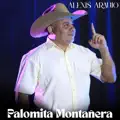Palomita Montañera