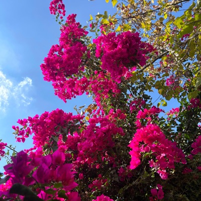 קיארוק - Single