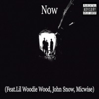 Now (Feat. Lil Woodie Wood, John Snow, Micwise) - Single - BEAT GUN
