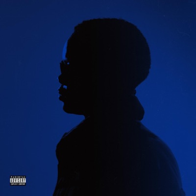 IN CASE I LOSE MYSELF