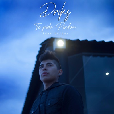 Te Pido Perdon (feat. Veiker) - Single