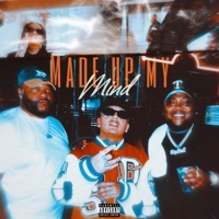 Made up my mind (feat. T-Rell) - Single - Vill