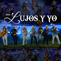 Mis Lujos y Yo (feat. Los tres de la palma) - Single - Grupo Relato