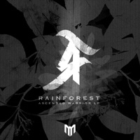Rainforest - Ascended Warrior LP - Rainforest