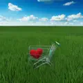 Welcome to my Jurek