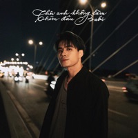 Thôi Anh Không Làm Thêm Đâu Babi (feat. Phùng Khánh Linh) - Single - Haisam
