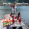 BAILA Y NO LLORES