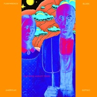 American Gothic Blues (feat. Audley Freed) - Single - Funkwrench Blues