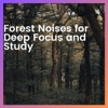 Forest Noises for Deep Focus and Study