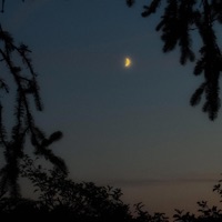 a moment between thoughts - Single - rudyy