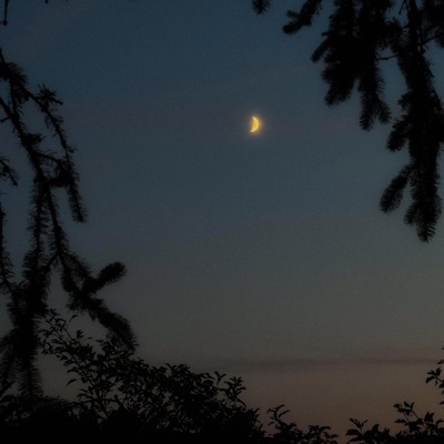 a moment between thoughts - Single